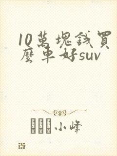10万块钱买什么车好suv