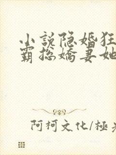小说隐婚狂宠:霸总娇妻她深藏不露温听免