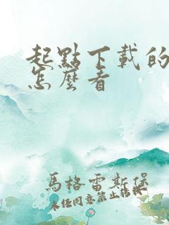 起点下载的小说怎么看