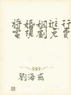 将婚姻进行到底电视剧免费全集观看