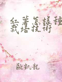 红薯怎样种高产栽培技术