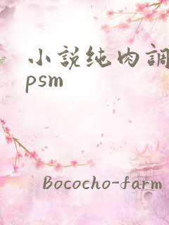 小说纯肉调教npsm
