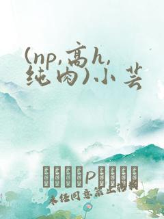 (np,高h,纯肉)小芸