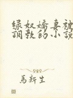 绿奴娇妻被别人调教的小说