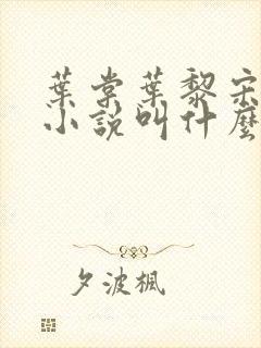 叶棠叶黎宋承舟小说叫什么名字