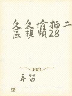 久久偷拍二区三区视频28