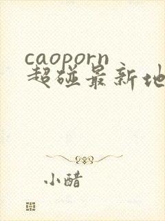 caoporn超碰最新地址
