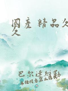 国产 精品久久久
