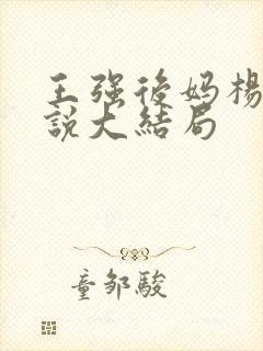 王强后妈杨美小说大结局