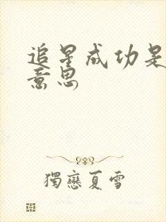 追星成功是什么意思
