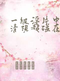 一级淫片中国高清视超碰在线高清