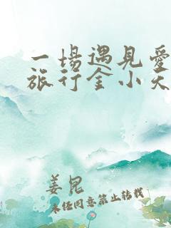 一场遇见爱情的旅行金小天