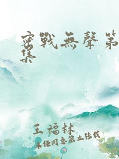 密战无声第十八集