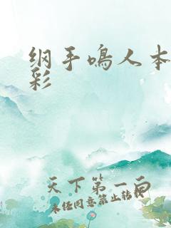 纲手鸣人本子全彩