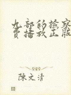九部的检察官免费播放正版