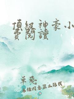 顶级神豪小说免费阅读