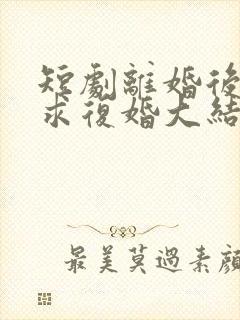 短剧离婚后前夫求复婚大结局
