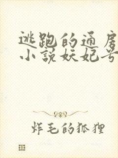 逃跑的通房丫鬟小说妖妃兮