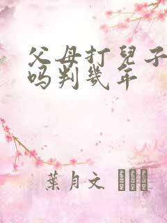 父母打儿子犯法吗判几年