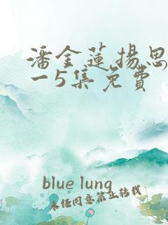 潘金莲扬思敏1一5集免费