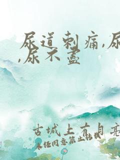 尿道刺痛,尿频,尿不尽