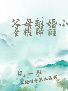 父母离婚小孩抚养权归谁