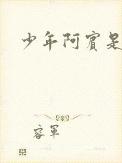 少年阿宾是什么