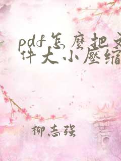 pdf怎么把文件大小压缩