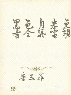 黑色月光免费观看全集电视剧