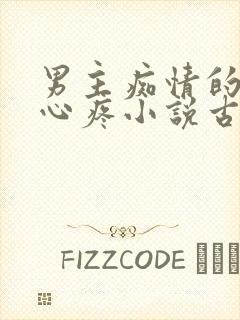 男主痴情的让人心疼小说古言