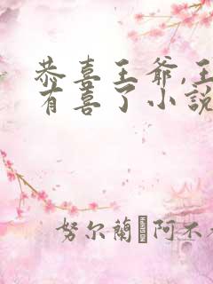 恭喜王爷,王妃有喜了小说全文免费阅读