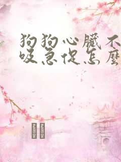 狗狗心脏不好呼吸急促怎么办