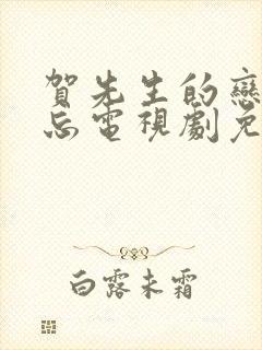 贺先生的恋恋不忘电视剧免费观看完整版