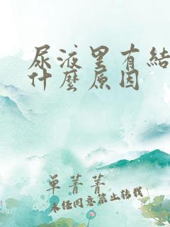 尿液里有结晶是什么原因
