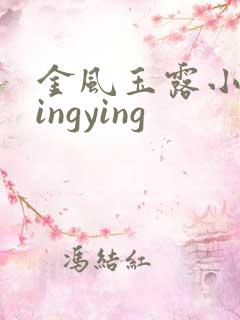 金风玉露小说wingying