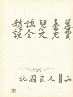 赵锦儿秦慕修小说全文免费阅读免费