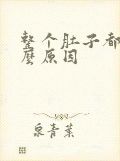 整个肚子都痛什么原因