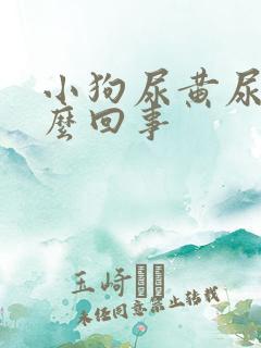 小狗尿黄尿是怎么回事