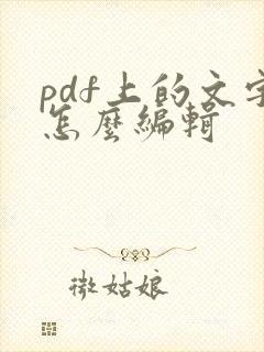 pdf上的文字怎么编辑