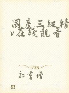 国产三级精品av在线观看