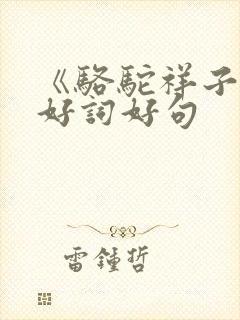 《骆驼祥子》的好词好句