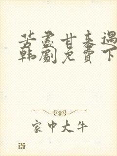 苦尽甘来遇见你韩剧免费下载