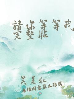 请你等等我原唱完整版