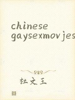 chinesegaysexmovjes