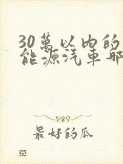 30万以内的新能源汽车哪个好?