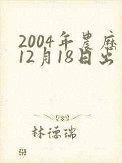 2004年农历12月18日出生命运