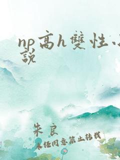 np高h双性小说