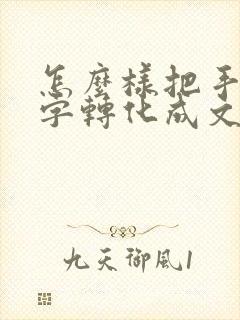 怎么样把手写的字转化成文档