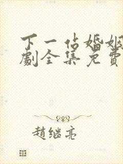 下一站婚姻电视剧全集免费观看高清