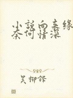 小说向来缘浅,奈何情深